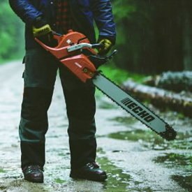 Chainsaws & Forestry